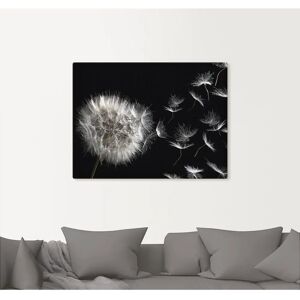 ARTLAND Pusteblume Wandbild - 80x60 cm - schwarz - Leinwand, Alubild, Outdoor ARTLAND Pusteblume Wandbild - 80x60 cm - schwarz - Leinwand, Alubild, Outdoor