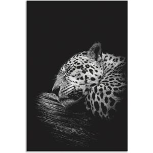 ARTland - Der schlafende Jaguar - Wandkunst ARTland - Der schlafende Jaguar - Wandkunst