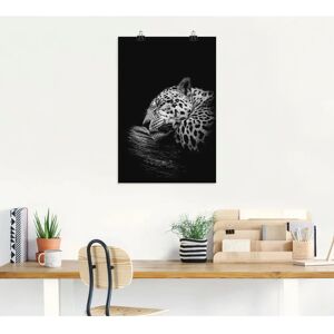 ARTland - Der schlafende Jaguar - 40x60 cm - Alu-Dibond - Wall art ARTland - Der schlafende Jaguar - 40x60 cm - Alu-Dibond - Wall art