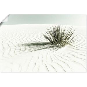 ARTLAND - Dünen, weißer Sand Vintage - 30x20 cm - Wall art ARTLAND - Dünen, weißer Sand Vintage - 30x20 cm - Wall art