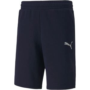 Puma 65658106 Navy Training Shorts - training shorts Puma 65658106 Navy Training Shorts - training shorts