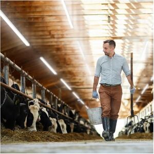 Wiesenfield Waterproof Luminaire - 20 W - 60 cm - 2200 lm - 6000-6500 K - Stabil Beleuchtung Wiesenfield Waterproof Luminaire - 20 W - 60 cm - 2200 lm - 6000-6500 K - Stabil Beleuchtung