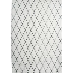 Kayoom BL6CH-80-150 Anthrazit Weiß Teppich Kayoom BL6CH-80-150 Anthrazit Weiß Teppich