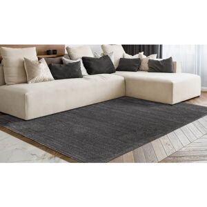 ARTE ESPINA Nila 100 Teppich - 160x230cm, 20mm, Anthrazit ARTE ESPINA Nila 100 Teppich - 160x230cm, 20mm, Anthrazit