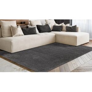 ARTE ESPINA Nila 100 - Tapis gris pour salon & salle à manger - Publicité ARTE ESPINA Nila 100 - Tapis gris pour salon & salle à manger - Publicité