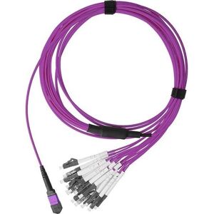 Câble de breakout duplex MPO/8xLC BlueOptics - Accessoire réseau - Publicité Câble de breakout duplex MPO/8xLC BlueOptics - Accessoire réseau - Publicité