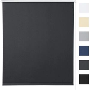 WOLTU Antracita 50x160 cm Persiana Enrollable Térmica y Opaca - Elegante WOLTU Antracita 50x160 cm Persiana Enrollable Térmica y Opaca - Elegante