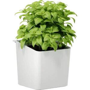 tesa 700440000000 White Kräutertopf - Kräutertopf tesa 700440000000 White Kräutertopf - Kräutertopf