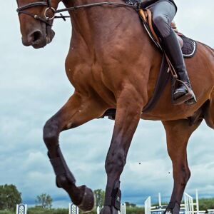 Sangle pour cheval HORZE Dallas - Flexible Ergonomique Marron - Publicité Sangle pour cheval HORZE Dallas - Flexible Ergonomique Marron - Publicité