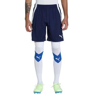 PUMA TEAMLIGA TRAINING SHORTS - Training Shorts PUMA TEAMLIGA TRAINING SHORTS - Training Shorts