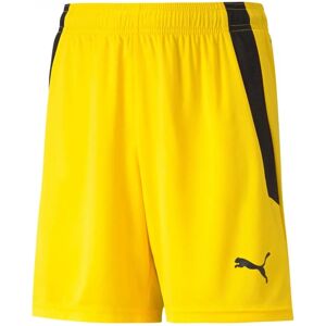 PUMA Heren Voetbalkousen - 164 cm Lengte PUMA Heren Voetbalkousen - 164 cm Lengte