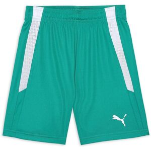 Puma Barn Grön 128 Sports Shorts - Sports Shorts Puma Barn Grön 128 Sports Shorts - Sports Shorts