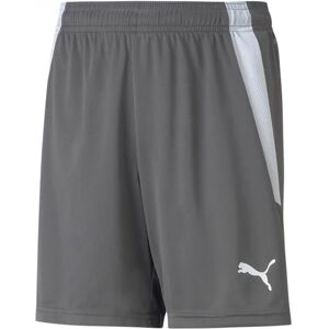 PUMA Pantalones de Liga de Fútbol para Hombre - Sports Pants PUMA Pantalones de Liga de Fútbol para Hombre - Sports Pants