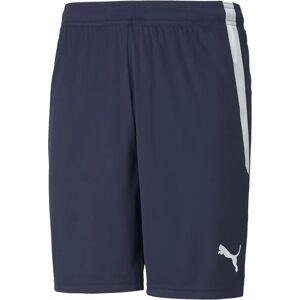 Puma Navy/Blue Short - 70492406 - Shorts Puma Navy/Blue Short - 70492406 - Shorts