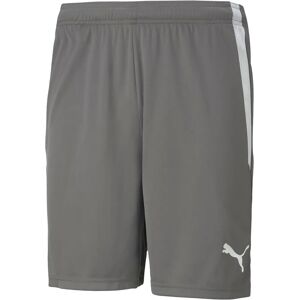 Shorts de Sport Puma pour Hommes - 704924 - Gris - Publicité Shorts de Sport Puma pour Hommes - 704924 - Gris - Publicité