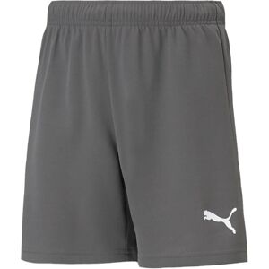 Puma 704943 -13 Gri Shorts - Sportbekleidung Puma 704943 -13 Gri Shorts - Sportbekleidung
