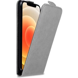 Cadorabo iPhone 12 MINI Hülle - mit Magnetclip TITAN GRAU Cadorabo iPhone 12 MINI Hülle - mit Magnetclip TITAN GRAU