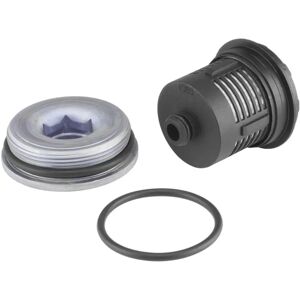 Borgwarner Gen II Hydraulikfilter mit Lamellenkupplung - Allradantrieb Borgwarner Gen II Hydraulikfilter mit Lamellenkupplung - Allradantrieb