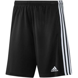 Adidas GN5776 Squadra 21 Shorts - Training All Year Men Black/White Adidas GN5776 Squadra 21 Shorts - Training All Year Men Black/White