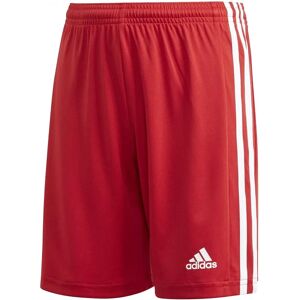 adidas JR Squadra 21 GN5761 Pantalones cortos de entrenamiento - Pantalones cortos adidas JR Squadra 21 GN5761 Pantalones cortos de entrenamiento - Pantalones cortos