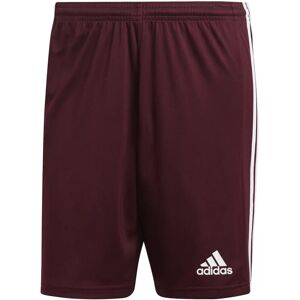 Adidas Squadra 21 GN8083 Red Training Shorts - training shorts Adidas Squadra 21 GN8083 Red Training Shorts - training shorts