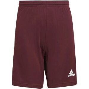 Adidas GN8081 Squadra 21 Fußball - Burgund - Ganzjährig Adidas GN8081 Squadra 21 Fußball - Burgund - Ganzjährig