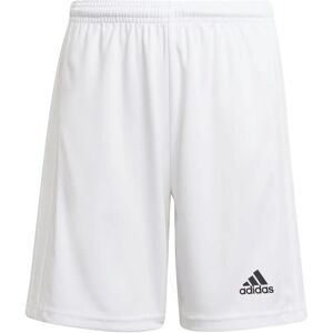 Adidas Squadra 21 Shorts - Garçons Toute l’Année Blanc - Publicité Adidas Squadra 21 Shorts - Garçons Toute l’Année Blanc - Publicité