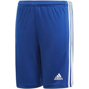 Adidas Boys Squadra 21 Shorts - Training Shorts for Boys Adidas Boys Squadra 21 Shorts - Training Shorts for Boys