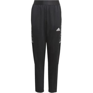Adidas Condivo 21 Primeblue Training Pants - Training Pants Adidas Condivo 21 Primeblue Training Pants - Training Pants