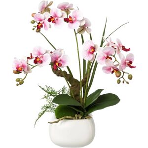 CREATIV GREEN Phalaenopsis - Künstliche Orchidee - Eleganter Keramiktopf CREATIV GREEN Phalaenopsis - Künstliche Orchidee - Eleganter Keramiktopf