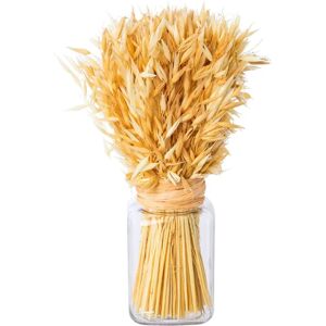 CREATIV HOME Trockenblumenarrangement im Glas - beige - Ø9 x 30 cm - Decor CREATIV HOME Trockenblumenarrangement im Glas - beige - Ø9 x 30 cm - Decor