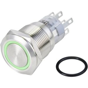TRU COMPONENTS Trykknap - IP65 - Grøn - DPDT - Tænd/(Tænd) - Panelmontering TRU COMPONENTS Trykknap - IP65 - Grøn - DPDT - Tænd/(Tænd) - Panelmontering