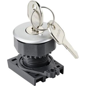 TRU Komponenten S3KF-2FS Schlüsselschalter - Silber - 1x90° - Produkttyp TRU Komponenten S3KF-2FS Schlüsselschalter - Silber - 1x90° - Produkttyp