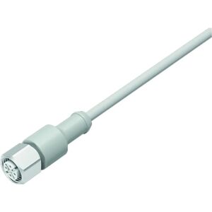 Binder 77 3730 0000 40404-0500 Sensor-/Aktor-Kabel - 5 m Grau Binder 77 3730 0000 40404-0500 Sensor-/Aktor-Kabel - 5 m Grau