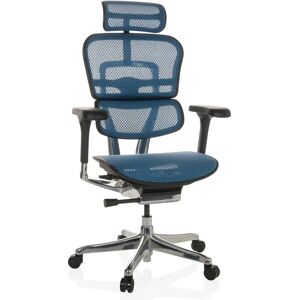 hjh OFFICE ERGOHUMAN GEN2 Mesh Luxus Bürostuhl Blau hjh OFFICE ERGOHUMAN GEN2 Mesh Luxus Bürostuhl Blau