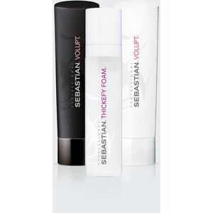 Sebastian Professionals Thickefy Foam Volume And Hold Styling Foam - Styling Foam Sebastian Professionals Thickefy Foam Volume And Hold Styling Foam - Styling Foam