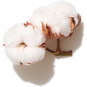 Shampoo Bodificante Wella Professionals Invigo Volume Boost con Estratto di Cotone (1000ml) Shampoo Bodificante Wella Professionals Invigo Volume Boost con Estratto di Cotone (1000ml)