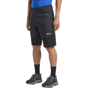 Jack Wolfskin HIKING ALPINE SHORT M - Shorts - grau Jack Wolfskin HIKING ALPINE SHORT M - Shorts - grau
