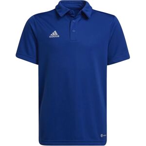 T-shirt Adidas Entrada 22 per Ragazzo - Blu Universale Tutto l'Anno T-shirt Adidas Entrada 22 per Ragazzo - Blu Universale Tutto l'Anno