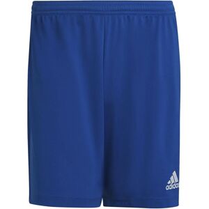 adidas HG6294 Shorts - Poliestere riciclato - Blu adidas HG6294 Shorts - Poliestere riciclato - Blu