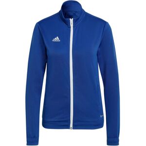 Adidas Entrada 22 Sweatshirt - All-Year Women’s - Navy/Blue Adidas Entrada 22 Sweatshirt - All-Year Women’s - Navy/Blue