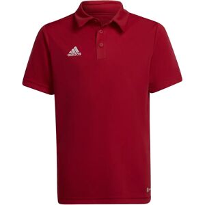 Adidas H57495 Rood Jongens T-shirt voor het Hele Jaar Adidas H57495 Rood Jongens T-shirt voor het Hele Jaar