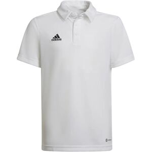 Maglietta Polo adidas Entrada 22 HC5059 Bianca - Abbigliamento Sportivo Tutto l'Anno Maglietta Polo adidas Entrada 22 HC5059 Bianca - Abbigliamento Sportivo Tutto l'Anno