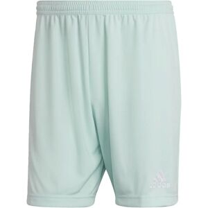Adidas Entrada 22 HC5051 Football Shorts - Turquoise Adidas Entrada 22 HC5051 Football Shorts - Turquoise