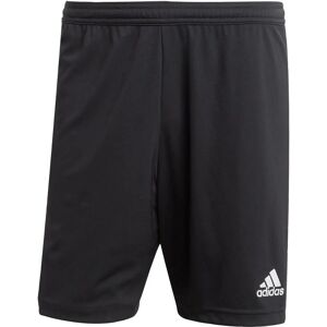 adidas H57504 Black Entrada 22 Shorts - Sportswear adidas H57504 Black Entrada 22 Shorts - Sportswear