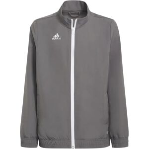 Adidas Entrada 22 Jacket Grey - Jacket Adidas Entrada 22 Jacket Grey - Jacket