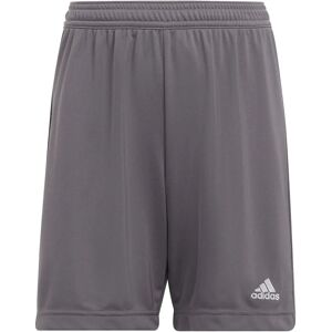 Shorts Adidas Entrada 22 - Gris - Garçons - Toute l'année - Publicité Shorts Adidas Entrada 22 - Gris - Garçons - Toute l'année - Publicité