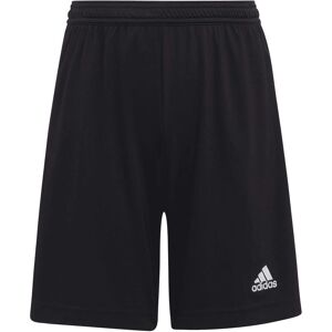 Adidas Junior Entrada 22 Shorts - Black - Training & Casual Adidas Junior Entrada 22 Shorts - Black - Training & Casual