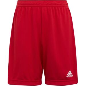 adidas Entrada 22 Shorts Rot - Fußball-Shorts adidas Entrada 22 Shorts Rot - Fußball-Shorts
