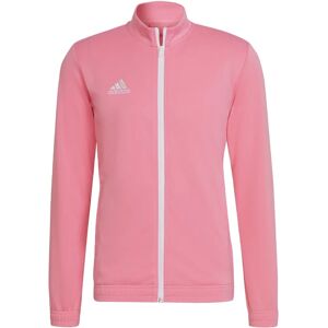 Sweat-shirt homme adidas HC5084 Rose Toute l'année - vêtements de sport - Publicité Sweat-shirt homme adidas HC5084 Rose Toute l'année - vêtements de sport - Publicité